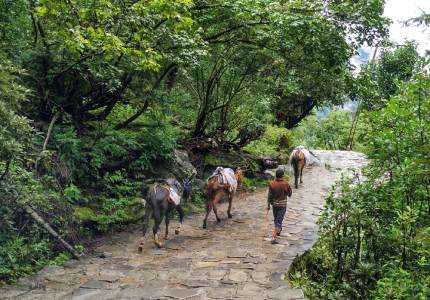 Hemkunt Sahib Darshan Tour