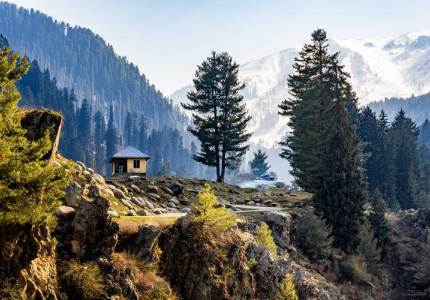 Kashmir Paradise with Gulmarg & Srinagar
