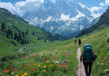 Kashmir Paradise with Gulmarg & Srinagar