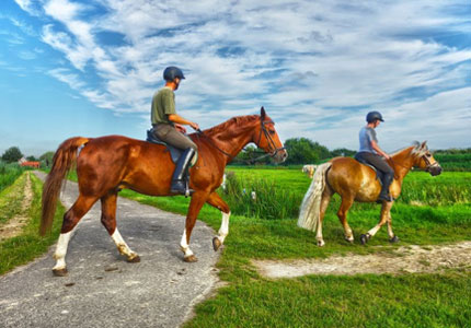 Delhi to Dalhousie Tour Package