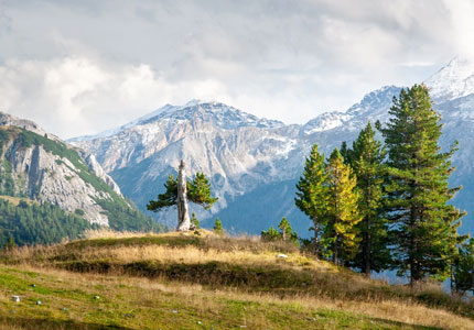 Delhi to Dalhousie Tour Package