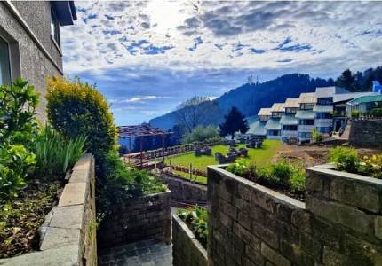 Delhi to Shimla, Manali Tour Package