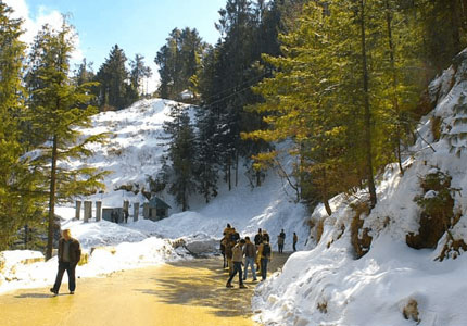 Delhi to Shimla, Manali Tour Package