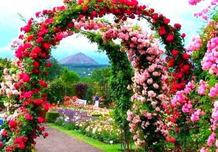 Amritsar to Manali Mountains Tour