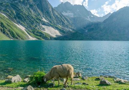 Srinagar – Vishansar & Gadsar Lakes Trek