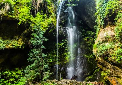 Amritsar to Dalhousie Dharamshala Manali Tour