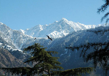 Delhi to Dharamshala, McLeod Ganj Tour Package